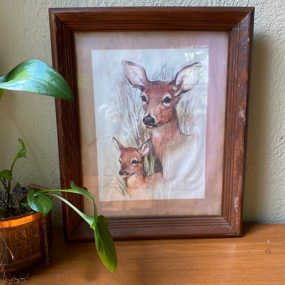 3/$30 🌟 VTG Deer & Fawn Framed Wall Art Print